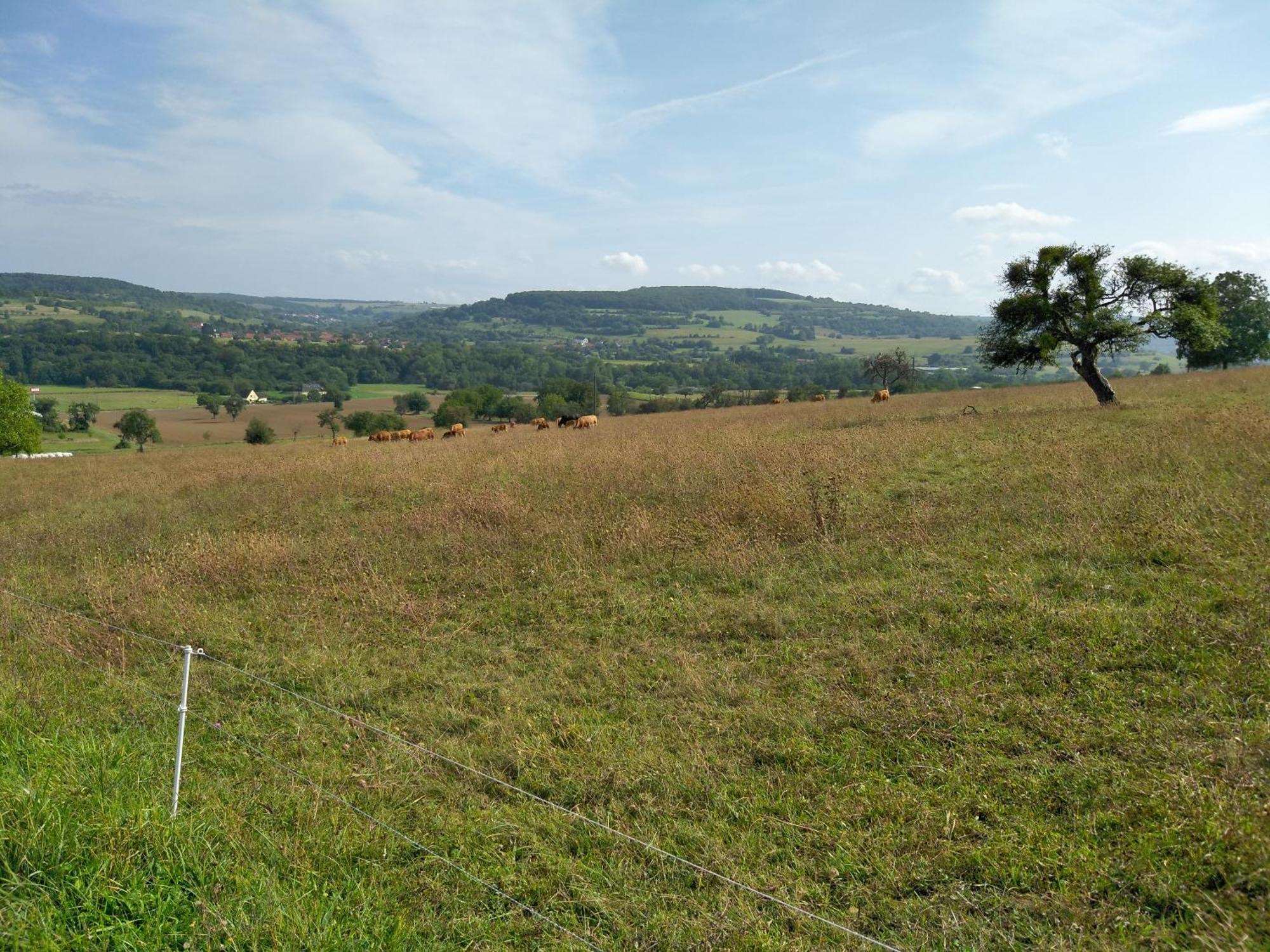 Camping Walsheim Gersheim 외부 사진